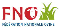 fno